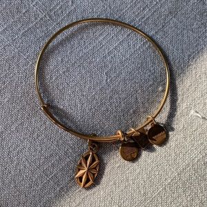 Alex and Ani North Star Charm Bracelet